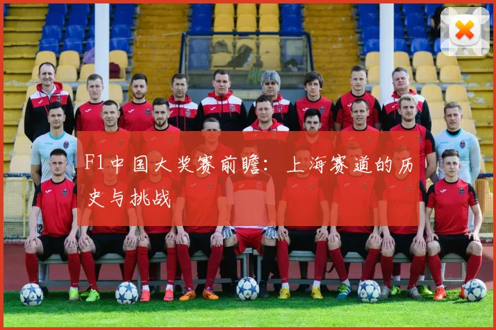 F1中国大奖赛前瞻：上海赛道的历史与挑战