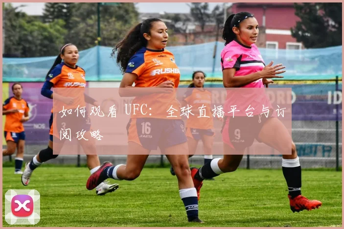 如何观看 UFC：全球直播平台与订阅攻略