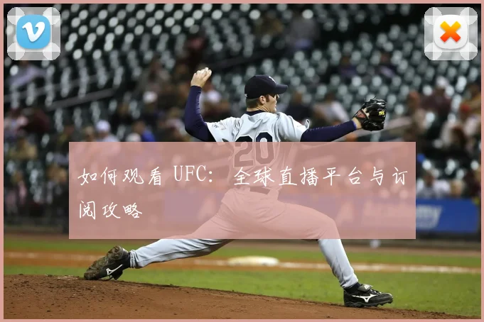 如何观看 UFC:全球直播平台与订阅攻略